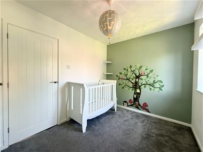 Picture 15